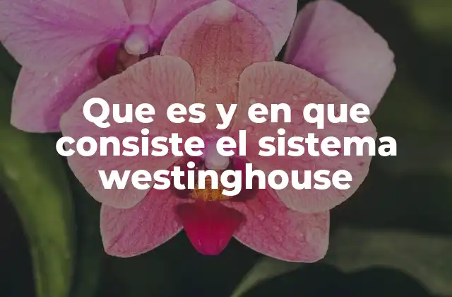 Que es y en que Consiste el Sistema Westinghouse