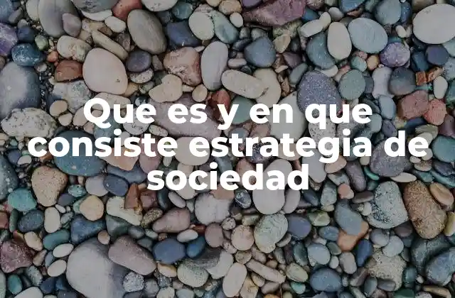 Que es y en que Consiste Estrategia de Sociedad