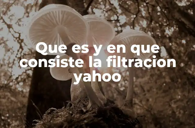 Que es y en que Consiste la Filtracion Yahoo
