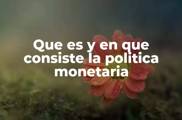 Que es y en que Consiste la Politica Monetaria