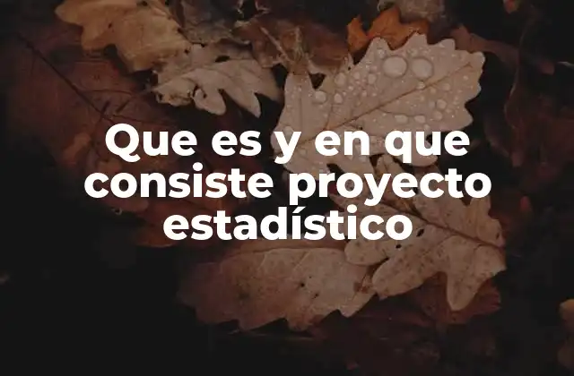 Que es y en que Consiste Proyecto Estadístico 2 El proceso detrás de un estudio basado en datos