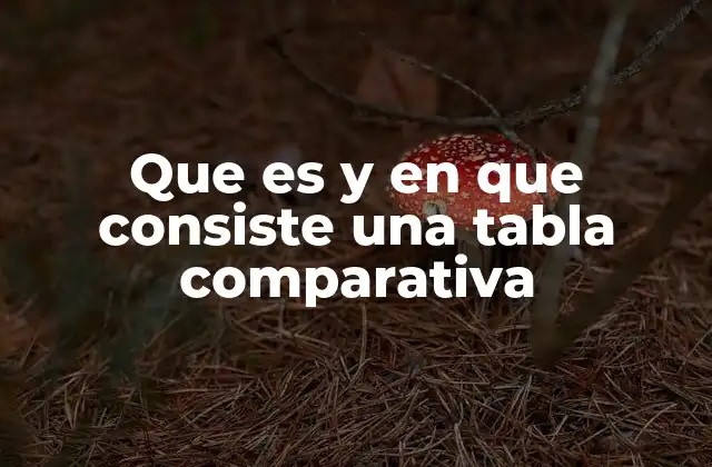 Que es y en que Consiste una Tabla Comparativa