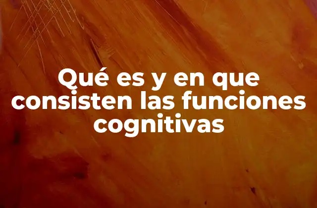 Qué es y en que Consisten las Funciones Cognitivas