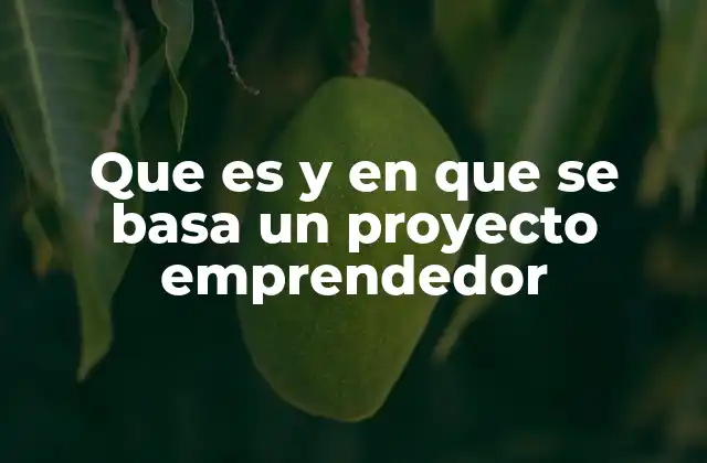 Que es y en que Se Basa un Proyecto Emprendedor