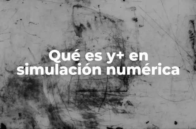 Qué es Y+ en Simulación Numérica