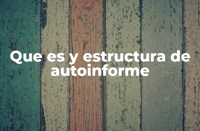 Que es y Estructura de Autoinforme