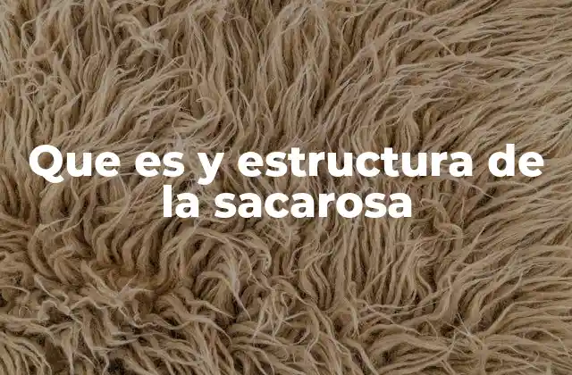 Que es y Estructura de la Sacarosa