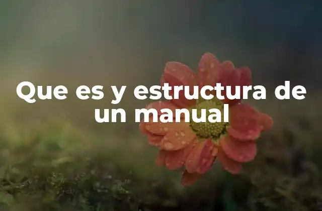 Que es y Estructura de un Manual