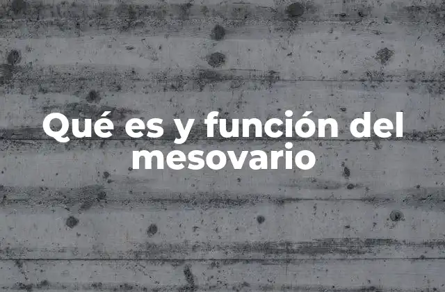 Qué es y Función Del Mesovario