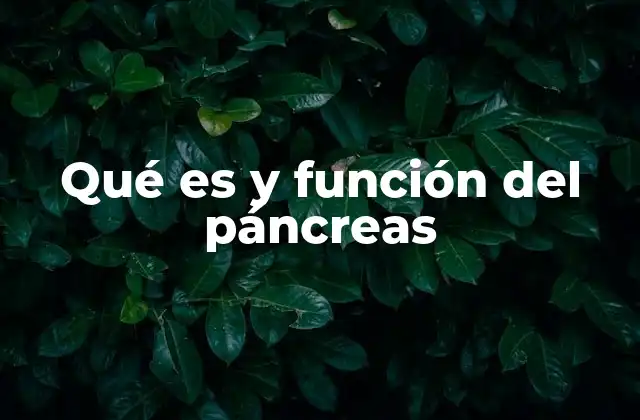 Qué es y Función Del Páncreas