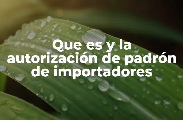 Que es y la Autorización de Padrón de Importadores