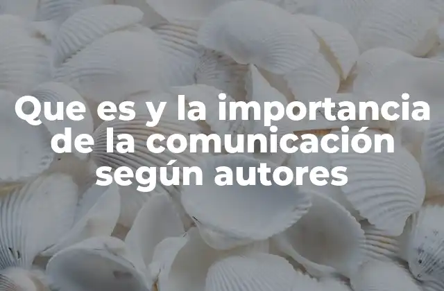 Que es y la Importancia de la Comunicación según Autores