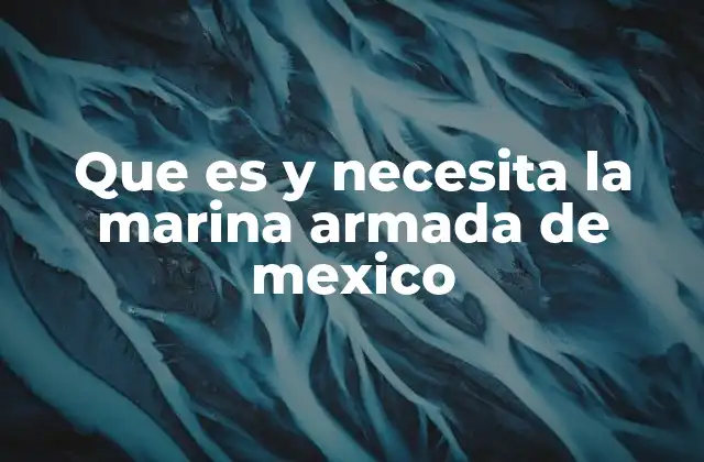 Que es y Necesita la Marina Armada de Mexico