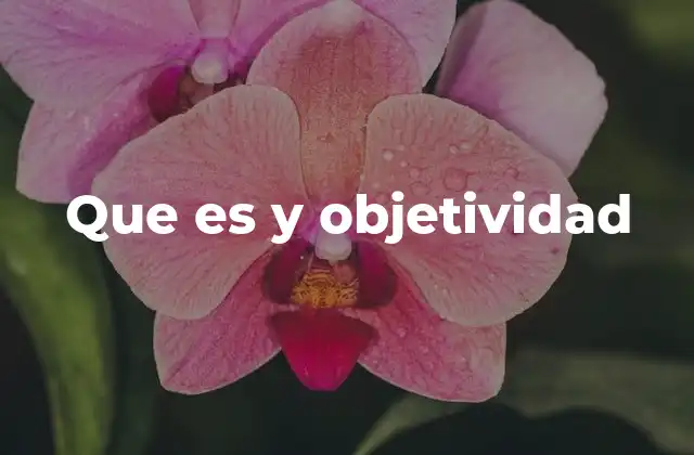 Que es y Objetividad