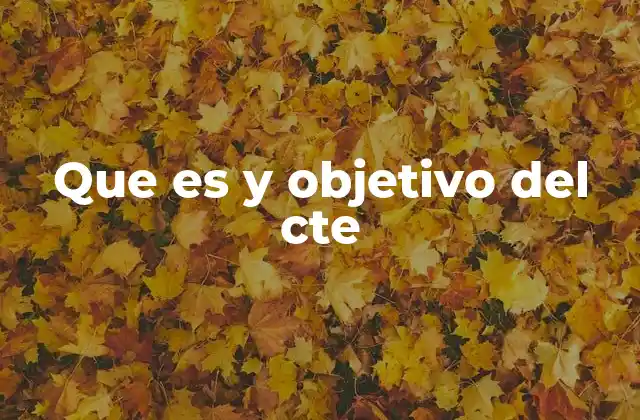 La importancia del CTE en la mejora educativa