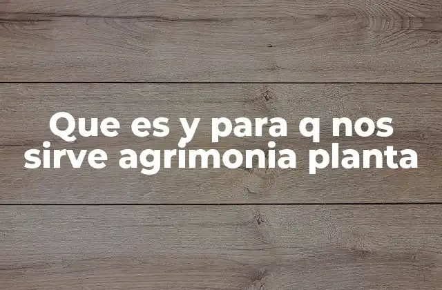Que es y para Q Nos Sirve Agrimonia Planta