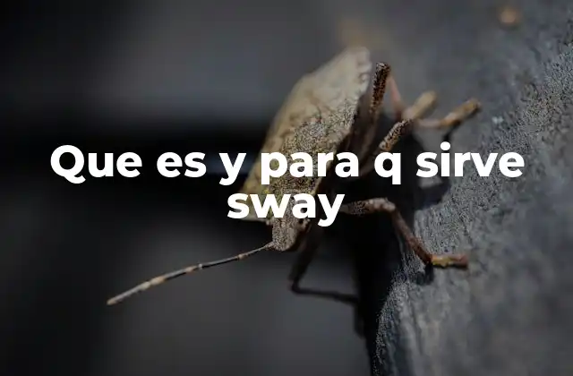 Que es y para Q Sirve Sway