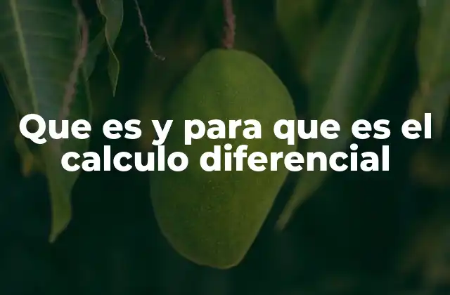 El fundamento matemático detrás del cálculo diferencial