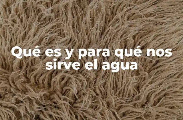 Qué es y para Qué Nos Sirve el Agua