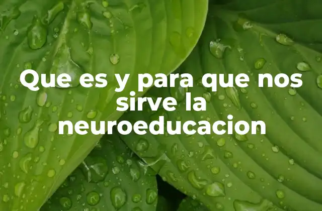 Que es y para que Nos Sirve la Neuroeducacion