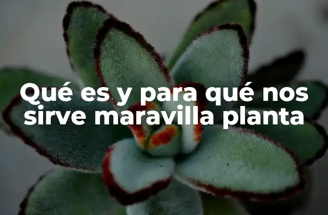 Propiedades biológicas y ecológicas de la planta maravilla