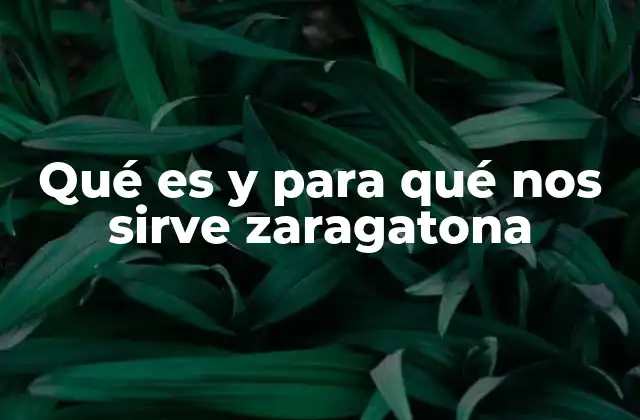 Qué es y para Qué Nos Sirve Zaragatona