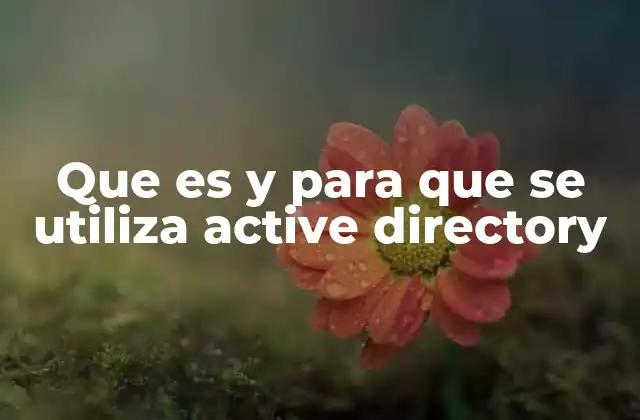 Que es y para que Se Utiliza Active Directory