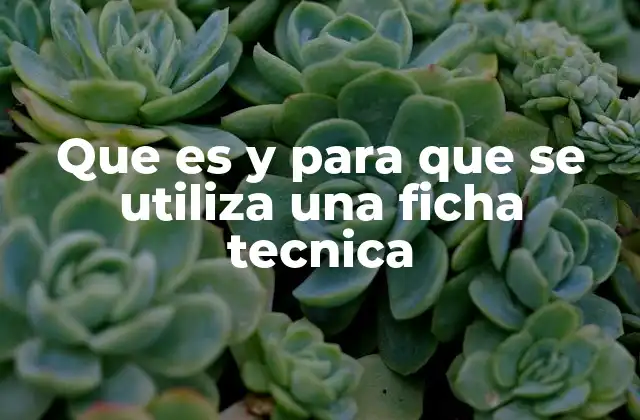 Que es y para que Se Utiliza una Ficha Tecnica