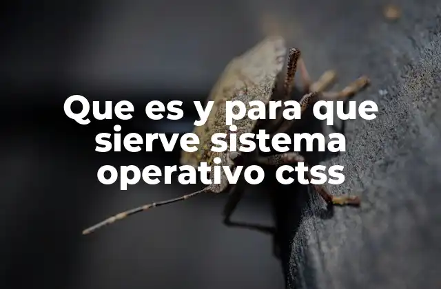 Que es y para que Sierve Sistema Operativo Ctss