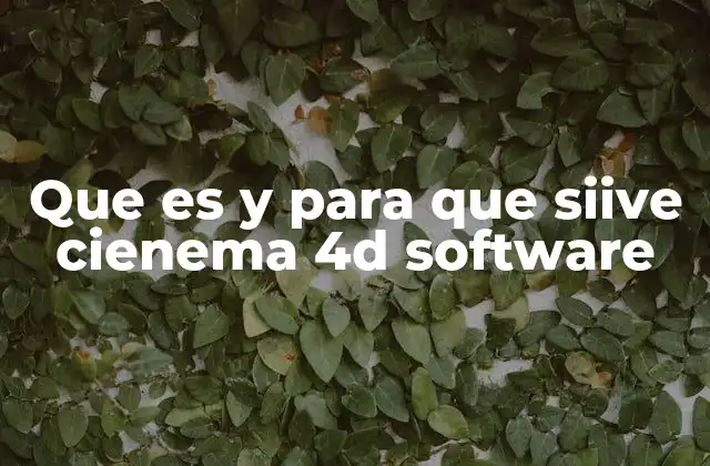 Que es y para que Siive Cienema 4d Software