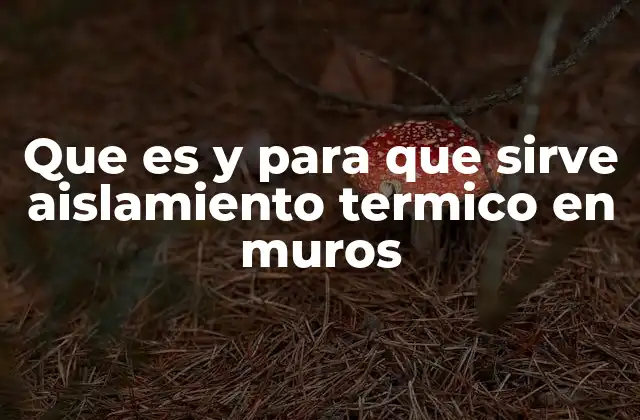 Que es y para que Sirve Aislamiento Termico en Muros