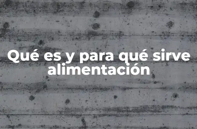 Qué es y para Qué Sirve Alimentación