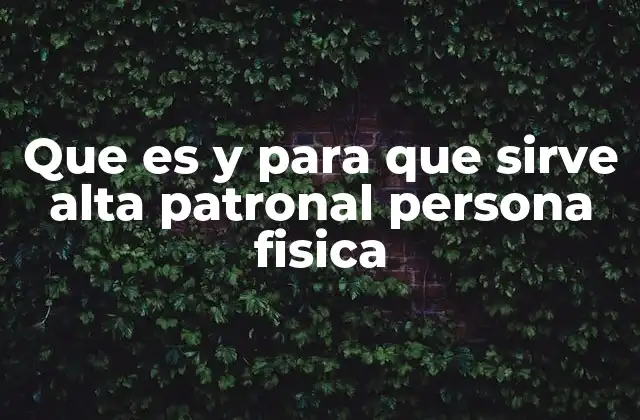 Que es y para que Sirve Alta Patronal Persona Fisica