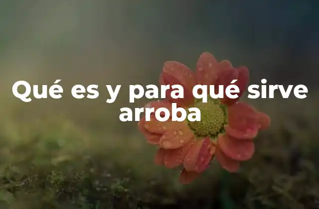 Qué es y para Qué Sirve Arroba