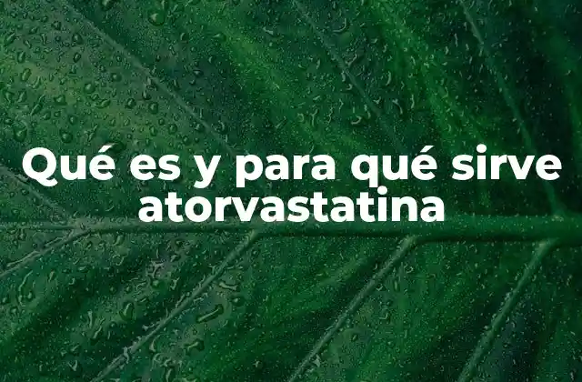 Qué es y para Qué Sirve Atorvastatina