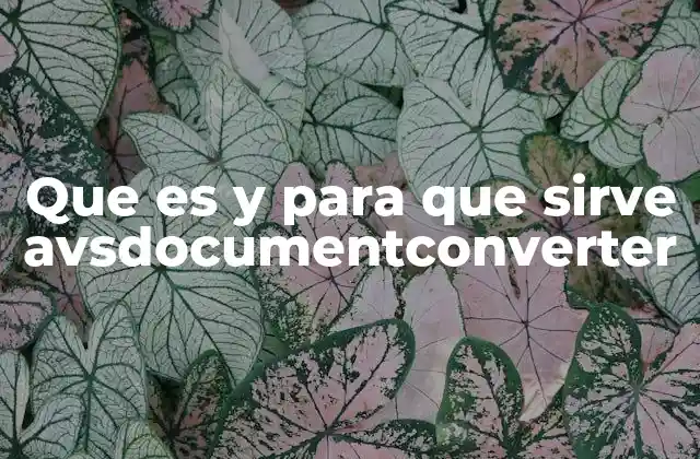 Que es y para que Sirve Avsdocumentconverter 2 La importancia de la conversión de documentos en la vida moderna
