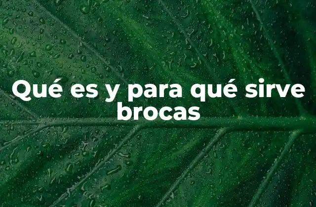 Qué es y para Qué Sirve Brocas