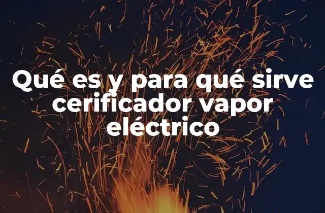Qué es y para Qué Sirve Cerificador Vapor Eléctrico