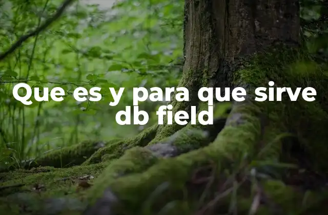 Que es y para que Sirve Db Field
