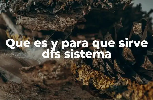 Que es y para que Sirve Dfs Sistema