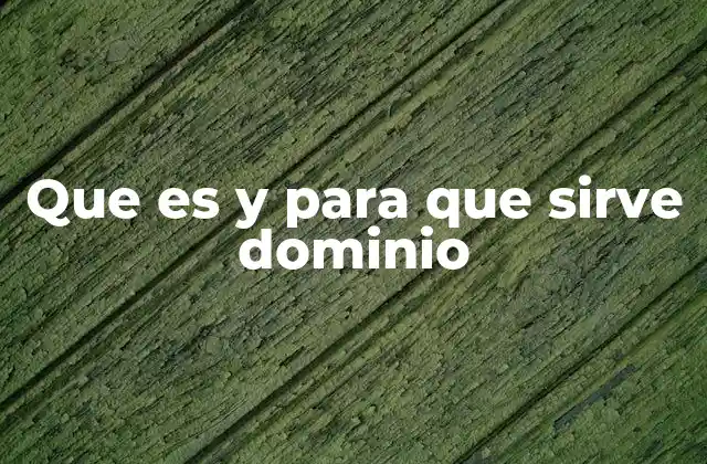 Que es y para que Sirve Dominio