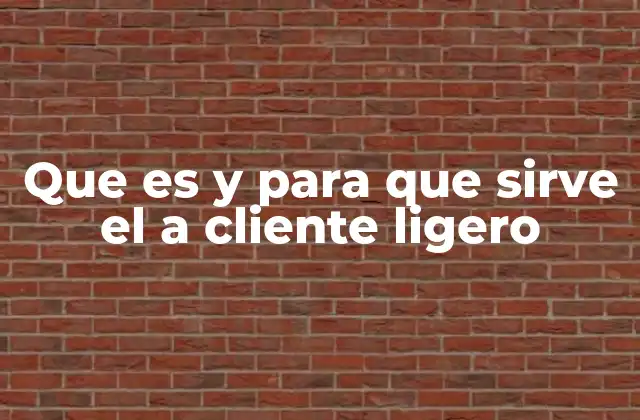 Que es y para que Sirve el a Cliente Ligero