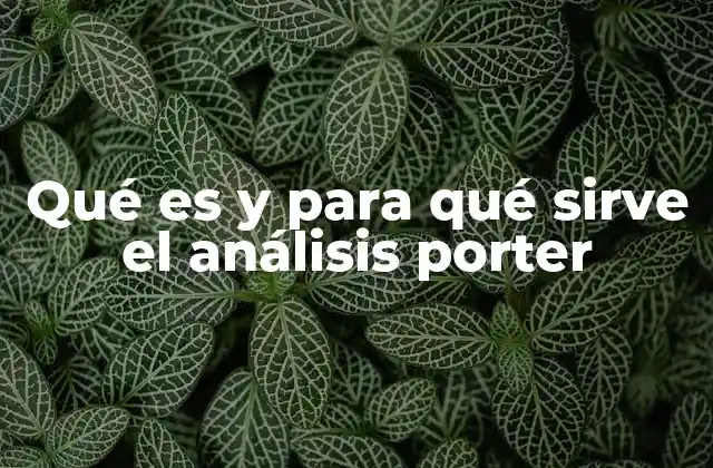 Qué es y para Qué Sirve el Análisis Porter