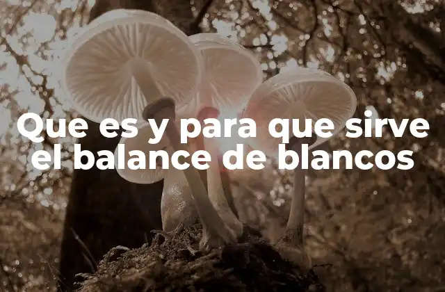 Que es y para que Sirve el Balance de Blancos