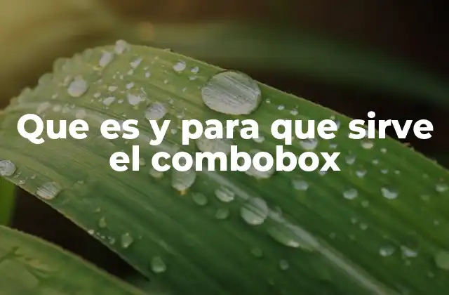 Que es y para que Sirve el Combobox