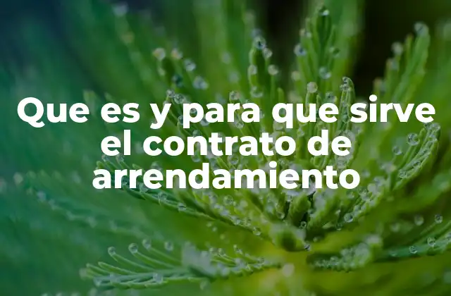 La importancia del contrato de arrendamiento en la vida cotidiana