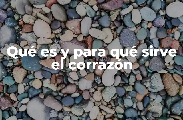 Qué es y para Qué Sirve el Corrazón