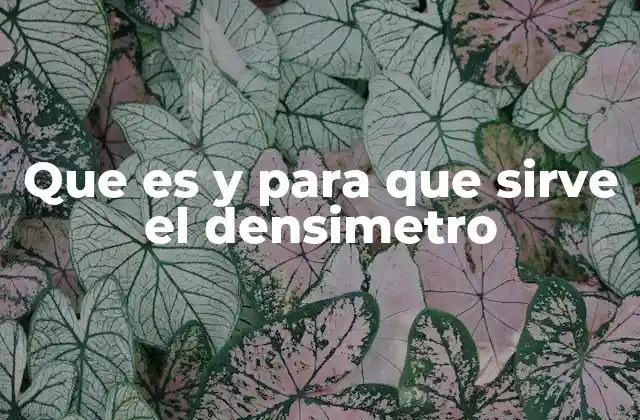 Que es y para que Sirve el Densimetro 2 Cómo se utiliza el densímetro en la industria alimentaria