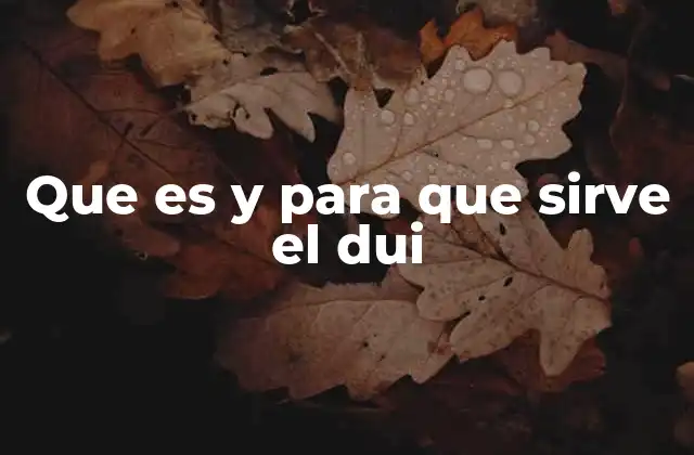 Que es y para que Sirve el Dui 2 El papel del DUI en la vida cotidiana de los ciudadanos