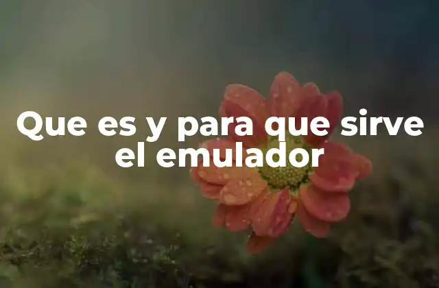 Que es y para que Sirve el Emulador